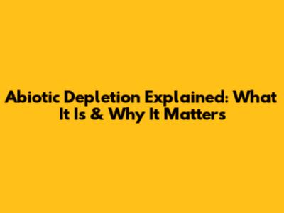 Abiotic Depletion Explained: What It Is & Why It Matters