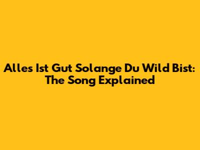 Alles Ist Gut Solange Du Wild Bist: The Song Explained