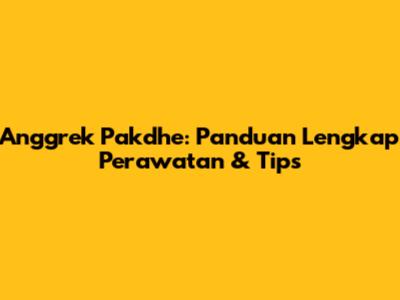 Anggrek Pakdhe: Panduan Lengkap Perawatan & Tips