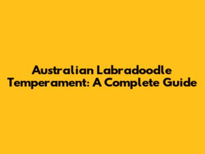 Australian Labradoodle Temperament: A Complete Guide
