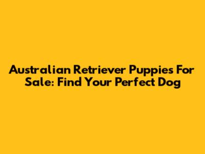 Australian Retriever Puppies For Sale: Find Your Perfect Dog