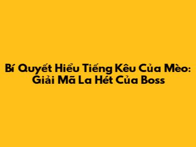 Bí Quyết Hiểu Tiếng Kêu Của Mèo: Giải Mã 'La Hét' Của Boss