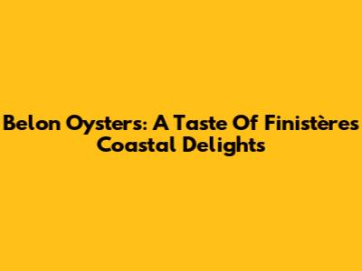 Belon Oysters: A Taste Of Finistère's Coastal Delights
