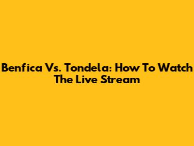Benfica Vs. Tondela: How To Watch The Live Stream