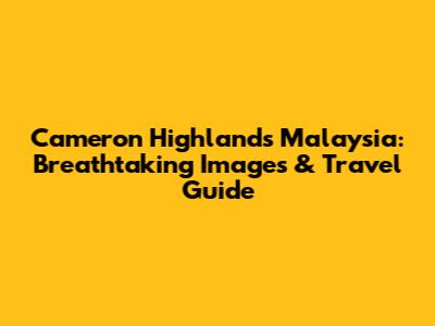 Cameron Highlands Malaysia: Breathtaking Images & Travel Guide