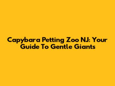 Capybara Petting Zoo NJ: Your Guide To Gentle Giants