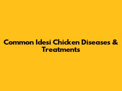 Common Idesi Chicken Diseases & Treatments