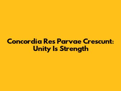 Concordia Res Parvae Crescunt: Unity Is Strength