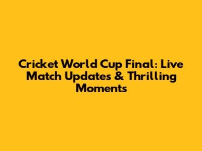 Cricket World Cup Final: Live Match Updates & Thrilling Moments