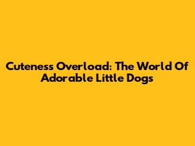 Cuteness Overload: The World Of Adorable Little Dogs