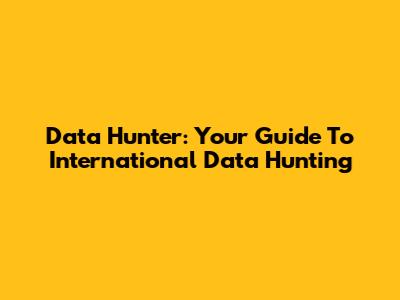 Data Hunter: Your Guide To International Data Hunting
