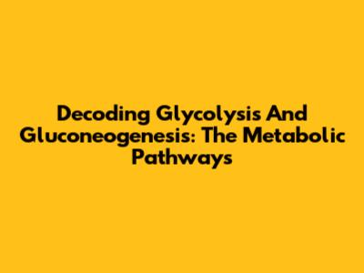 Decoding Glycolysis And Gluconeogenesis: The Metabolic Pathways
