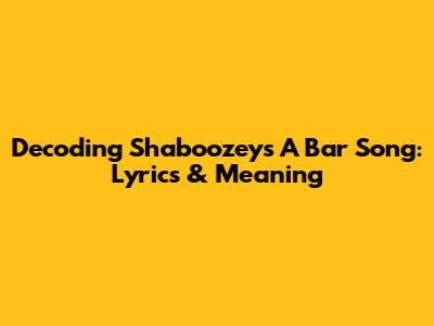 Decoding Shaboozey's "A Bar Song": Lyrics & Meaning