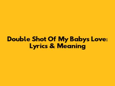 Double Shot Of My Baby's Love: Lyrics & Meaning