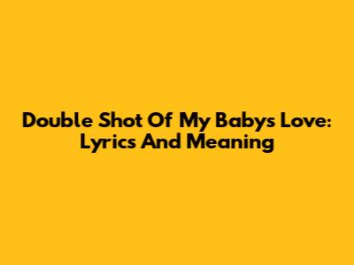 Double Shot Of My Baby's Love: Lyrics And Meaning