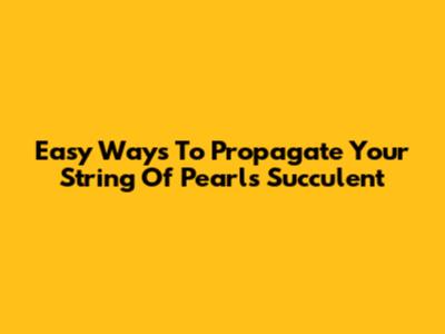 Easy Ways To Propagate Your String Of Pearls Succulent