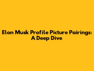Elon Musk Profile Picture Pairings: A Deep Dive