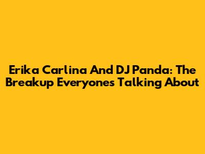 Erika Carlina And DJ Panda: The Breakup Everyone's Talking About