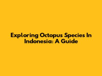 Exploring Octopus Species In Indonesia: A Guide