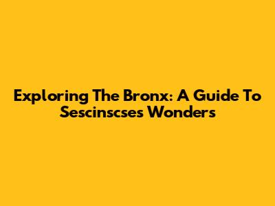 Exploring The Bronx: A Guide To Sescinscse's Wonders