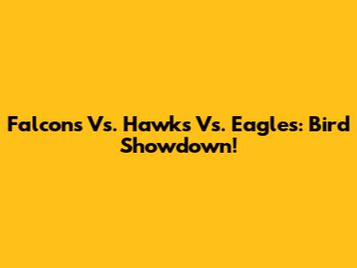 Falcons Vs. Hawks Vs. Eagles: Bird Showdown!