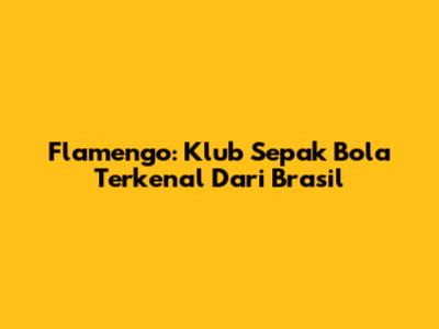 Flamengo: Klub Sepak Bola Terkenal Dari Brasil