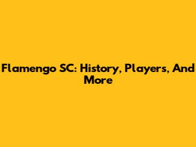 Flamengo SC: History, Players, And More