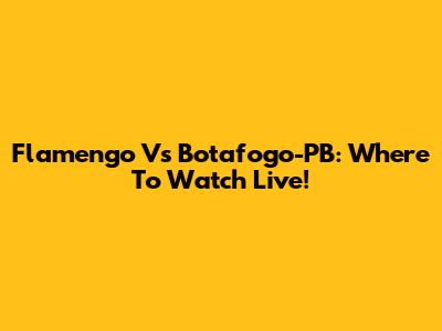 Flamengo Vs Botafogo-PB: Where To Watch Live!