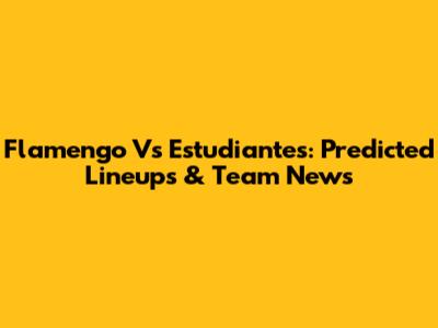 Flamengo Vs Estudiantes: Predicted Lineups & Team News