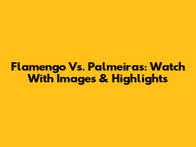 Flamengo Vs. Palmeiras: Watch With Images & Highlights