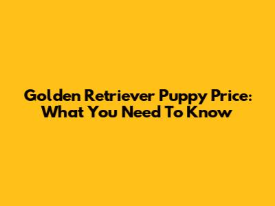 Golden Retriever Puppy Price: What You Need To Know