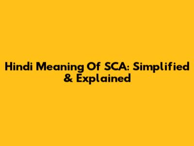 Hindi Meaning Of SCA: Simplified & Explained