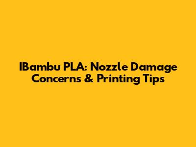 IBambu PLA: Nozzle Damage Concerns & Printing Tips
