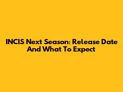 INCIS Next Season: Release Date And What To Expect