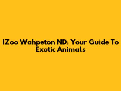 IZoo Wahpeton ND: Your Guide To Exotic Animals