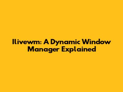 Ilivewm: A Dynamic Window Manager Explained