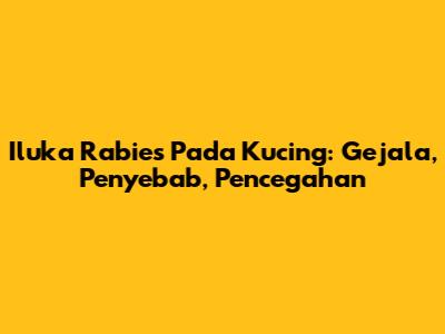 Iluka Rabies Pada Kucing: Gejala, Penyebab, Pencegahan