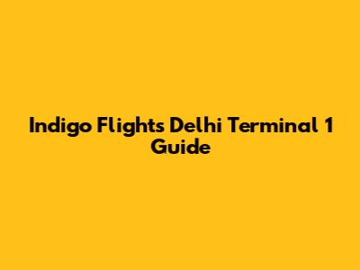 Indigo Flights Delhi Terminal 1 Guide