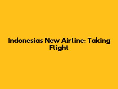 Indonesia's New Airline: Taking Flight