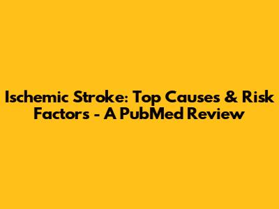 Ischemic Stroke: Top Causes & Risk Factors - A PubMed Review