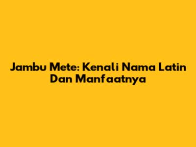 Jambu Mete: Kenali Nama Latin Dan Manfaatnya