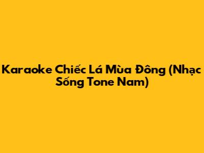 Karaoke 'Chiếc Lá Mùa Đông' (Nhạc Sống Tone Nam)