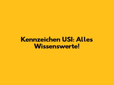 Kennzeichen USI: Alles Wissenswerte!