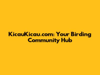 KicauKicau.com: Your Birding Community Hub