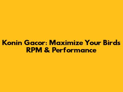 Konin Gacor: Maximize Your Bird's RPM & Performance