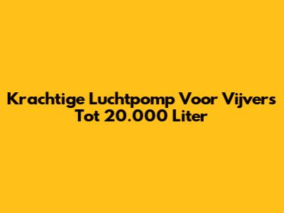 Krachtige Luchtpomp Voor Vijvers Tot 20.000 Liter
