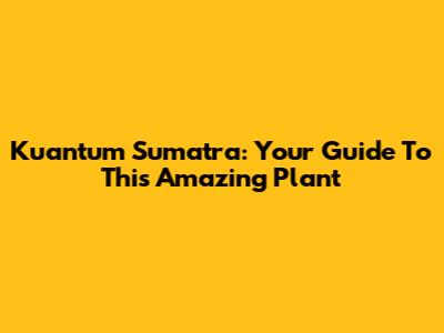 Kuantum Sumatra: Your Guide To This Amazing Plant