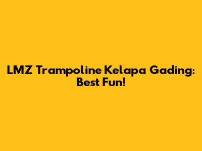 LMZ Trampoline Kelapa Gading: Best Fun!