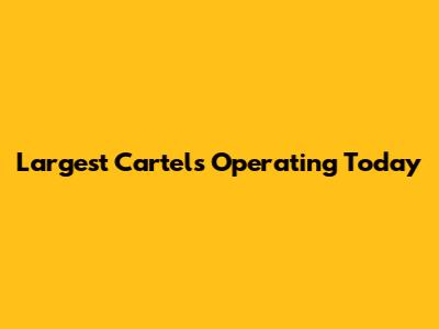Largest Cartels Operating Today