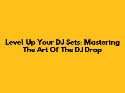 Level Up Your DJ Sets: Mastering The Art Of The DJ Drop